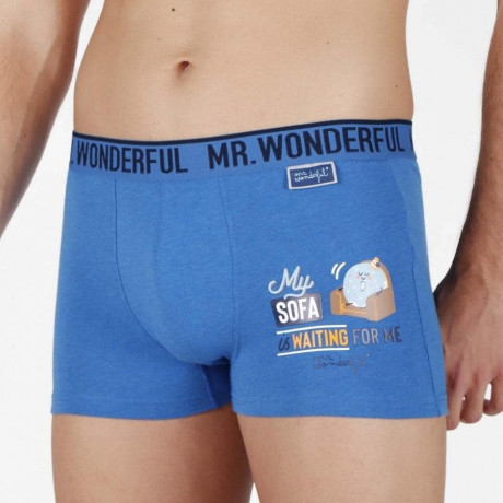 packx2 boxer "my sofa is waiting for me". mr. wonderful. 2