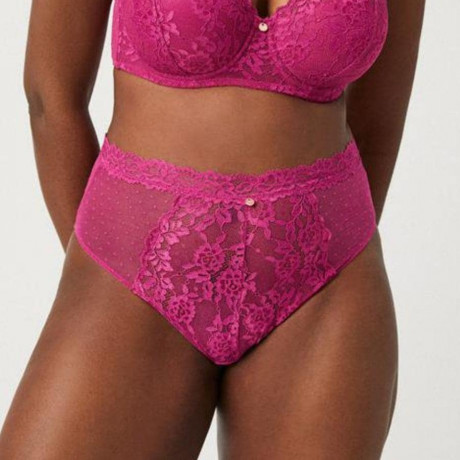 HIGH WAISTED BRIEF, LACE AND PLUMETI, YSABEL MORA.
