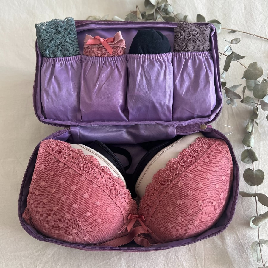 travel bag underwear, singular.