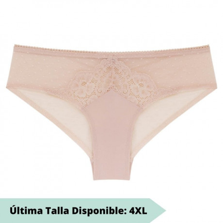 medium briefs, naflah, dorina.