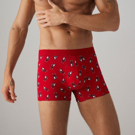 Calzoncillos boxer, especial navidad, ysabel mora.