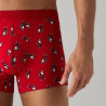 Calzoncillos boxer, especial navidad, ysabel mora.