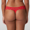tanga briefs, madison, primadonna.