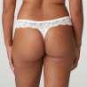 tanga briefs, madison, primadonna.