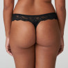 tanga briefs, madison, primadonna.