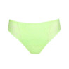 Medium briefs, rupi, primadonna twist.