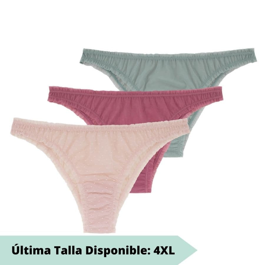packx3 tanga briefs, hazel, dorina.