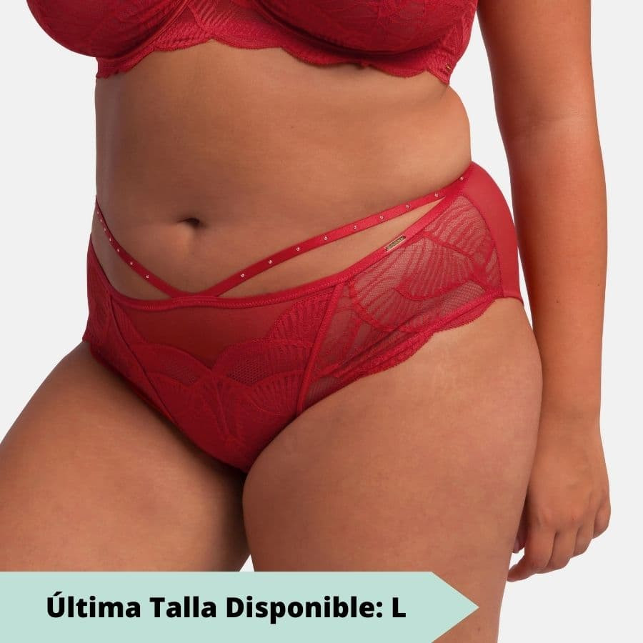 Medium briefs, adelina, dorina.