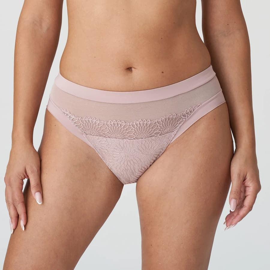 Sophora Primadonna lace and micro-tulle midi brief.