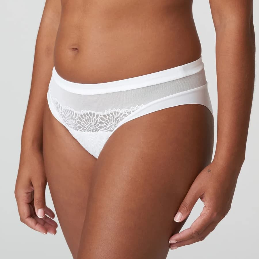 Sophora Primadonna lace and micro-tulle midi brief.