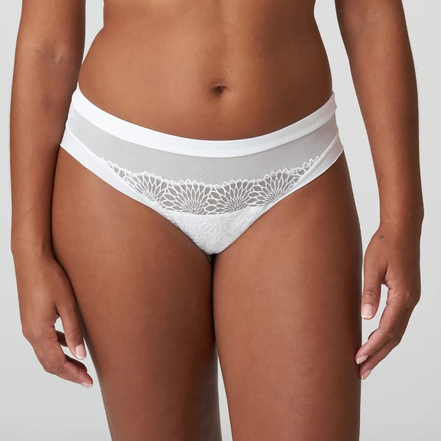 Sophora Primadonna lace and micro-tulle midi brief.