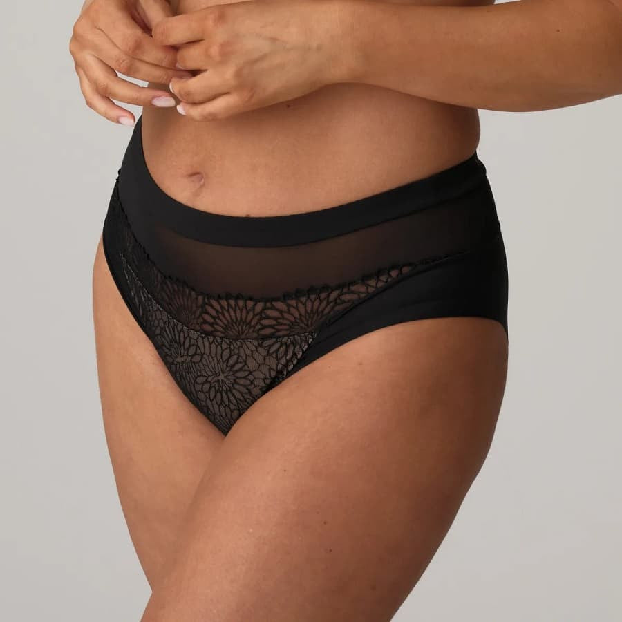 High-waisted lace and micro-tulle briefs, Sophora by Primadonna.