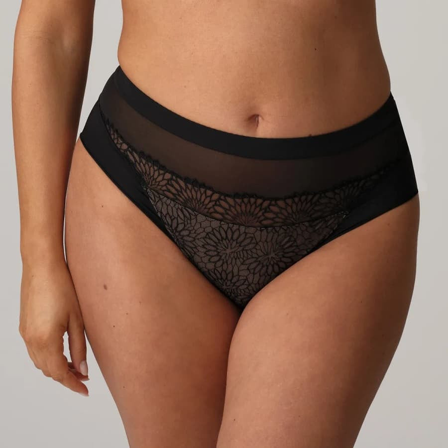 High-waisted lace and micro-tulle briefs, Sophora by Primadonna.